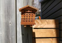 Supporting wild pollinators in your yard can be easy and fun. Cavity-dwelling native bees use hollow stems as nesting sites in the spring. You can buy or build a bee house like this one made by Three Sisters Natural Landscapes. (Photo courtesy of GreenUP)