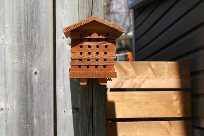 Supporting wild pollinators in your yard can be easy and fun. Cavity-dwelling native bees use hollow stems as nesting sites in the spring. You can buy or build a bee house like this one made by Three Sisters Natural Landscapes. (Photo courtesy of GreenUP)