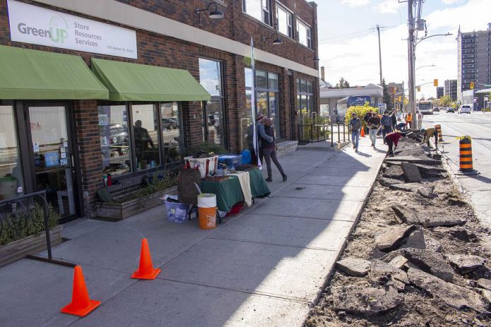 In seems like a lifetime ago, but in fall 2019 volunteers helped depave the boulevard outside the GreenUP Store & Resource Centre. "We had such a great time,” shares Hannah McFarlane, who has volunteered at several Depave Paradise projects. “We’re all feeling like we can do anything together now that we’ve done that!” (Photo: GreenUP)