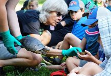 Children learn about turtles from Ontario Turtle Conservation Centre at Ken Reid Conservation Area in July 2019. Kawartha Conservation has cancelled all of its 2020 summer camps, programming, and events because of the COVID-19 pandemic. (Photo: Kawartha Conservation / Facebook)