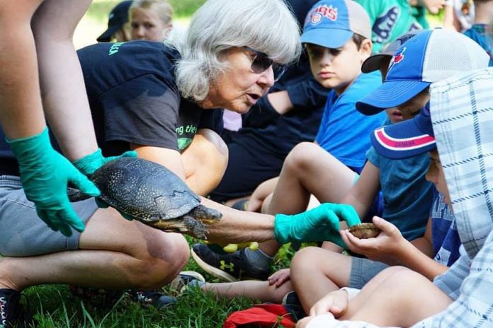 Children learn about turtles from Ontario Turtle Conservation Centre at Ken Reid Conservation Area in July 2019. Kawartha Conservation has cancelled all of its 2020 summer camps, programming, and events because of the COVID-19 pandemic. (Photo: Kawartha Conservation / Facebook)