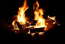 Campfire (stock photo)