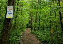 Ganaraska Forest set to reopen for hiking on May 22 Trails in the Ganaraska Forest, along with the nine conservation areas managed by the Ganaraska Region Conservation Authority, will reopen for hiking on May 22, 2020. (Photo: Ganaraska Region Conservation Authority)