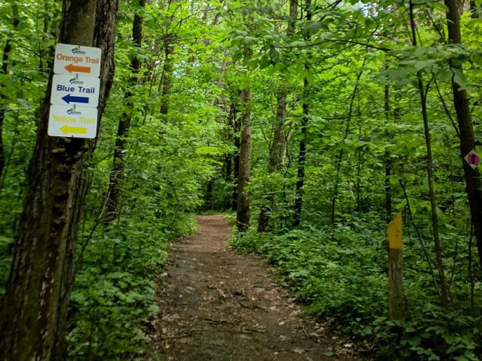 Trails in the Ganaraska Forest, along with the nine conservation areas managed by the Ganaraska Region Conservation Authority, will reopen for hiking on May 22, 2020. (Photo: Ganaraska Region Conservation Authority)