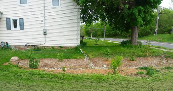 A rain garden in East City, installed through the GreenUP Sustainable Urban Neighbourhoods program in 2018. Notice the bowl shape of the garden, the stone inlet that allows water to flow into the garden from the downspout, and the outlet on the bottom right side of the garden to allow water to overflow during heavy storms. (Photo courtesy of GreenUP)