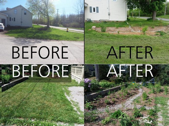 Thanks to the new Rain Garden Subsidy Program offered by the City of Peterborough, city residents can get financial support to help them add a rain garden to their property, with GreenUP providing educational support on designing a rain garden.  (Photos courtesy of GreenUP)