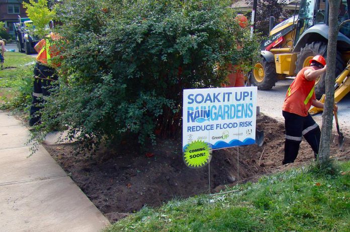 From 2016 to 2018, the GreenUP Ready for Rain Program installed eight demonstration rain gardens in the Avenues neighbourhood of Peterborough. Residents of the Avenues and volunteers planted these gardens, which have been growing and absorbing the rain ever since. A small rain garden can divert as much as 50,000 cubic metres from a single storm, and can also help to naturally filter and clean water and reduce flooding. (Photo courtesy of GreenUP)