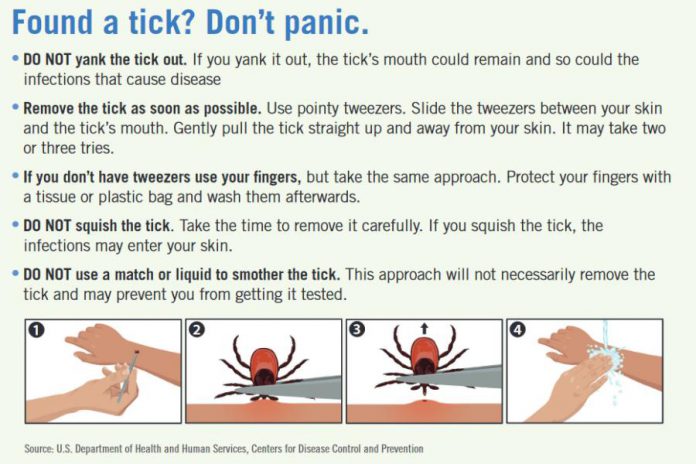 How to remove a tick using tweezers. (Infographic: Bay Area Lyme Foundation)
