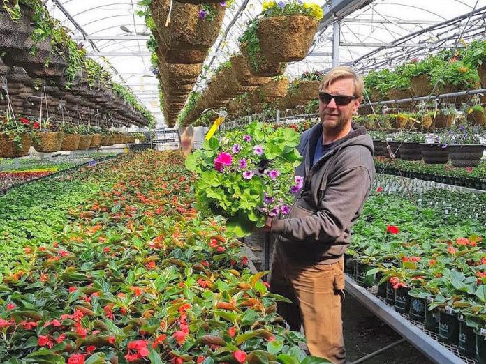 Greenhouse manager Kyle Griffin at Griffin's Greenhouses in Selywn, one of many locally owned independent garden centres in the Kawarthas that are ready to open to the public for gardening season once the Ontario government gives them the green light. Currently, they can only offer curbside pickup and delivery instead of allowing customers to browse plants. (Photo: Griffin's Greenhouses / Instagram)