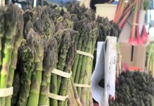 Lakefield Farmers' Market opens for the summer season on Thursday, May 21st. Asparagus is in season in May and June. (Photo: Lakefield Farmers' Market / Facebook)