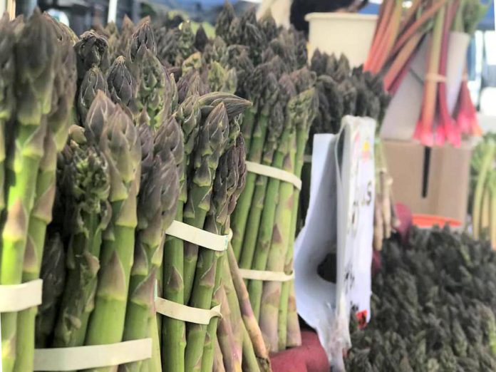 Lakefield Farmers' Market opens for the summer season on Thursday, May 21st. Asparagus is in season in May and June. (Photo: Lakefield Farmers' Market / Facebook)