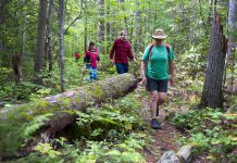 Hiking in a provincial park. (Photo: Ontario Parks)