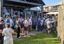 The audience gathers for the opening night performance of Beau Dixon's "Bloom: A Rock 'n' Roll Fable" at the Winslow Farm at 4th Line Theatre in Millbrook on July 4, 2019. The outdoor theatre company's board of directors has decided to cancel its 2020 summer season because of continued uncertainty around the COVID-19 pandemic. Although the Ontario government announced stage two of reopening the province's economy on June 8, 2020, restrictions on social gatherings are limited to 10 people and performance venues are not among the businesses allowed to reopen. (Photo: Bruce Head / kawarthaNOW.com)