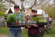 GreenUP Ecology Park's nursery, located at 1899 Ashburnham Drive in Peterborough, offers a wide range of native plants and trees that are grown for the Peterborough climate. The nursery is now open for the 2020 season Thursday to Sunday. (Photo courtesy of Ecology Park)