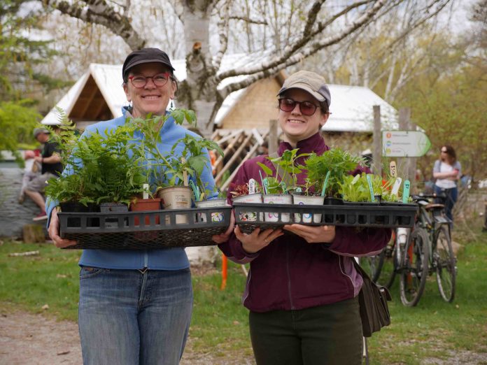 GreenUP Ecology Park's nursery, located at 1899 Ashburnham Drive in Peterborough, offers a wide range of native plants and trees that are grown for the Peterborough climate. The nursery is now open for the 2020 season Thursday to Sunday. (Photo courtesy of Ecology Park)