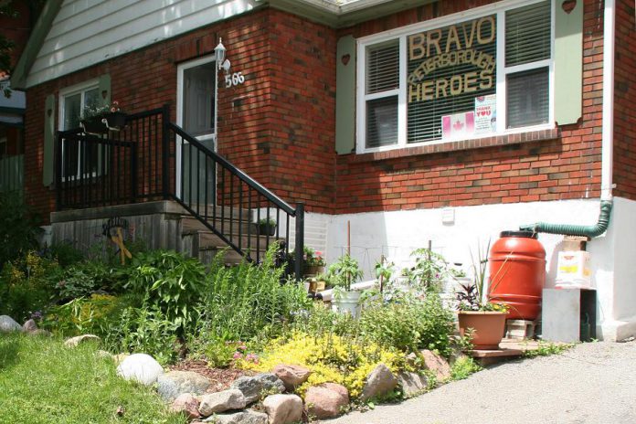 Peterborough residents have embraced rain barrels as a way to conserve water, with rain barrel sales at the GreenUP store up 51 per cent year over year. The City of Peterborough and GreenUP also recently launched a Rain Garden Subsidy Program to help property owners design and install their own rain garden. Rain gardens can mitigate flooding, improve habitat for native pollinators, and save you money. (Photo courtesy of GreenUP)