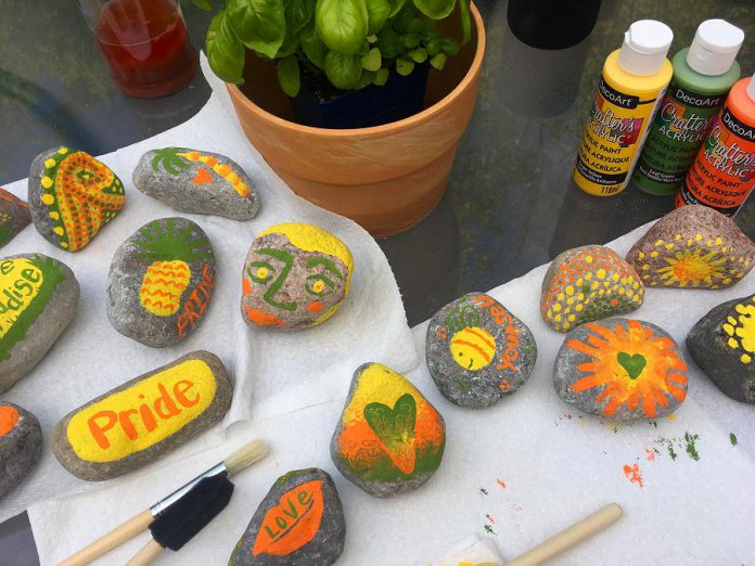 The Rainbow Rock Garden is installed in the DePave Paradise boulevard right in front of the GreenUP Store & Resource Centre at 378 Aylmer Street North in downtown Peterborough. (Photo: Dawn Pond  / GreenUP)