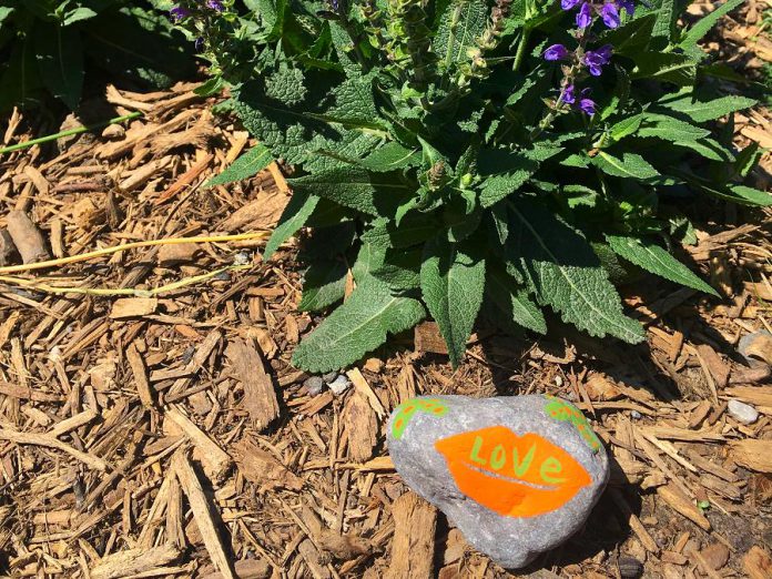 Spreading the message of love in the Rainbow Rock Garden. (Photo: Dawn Pond  / GreenUP)
