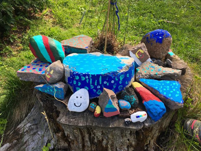 A collection of rocks for Peterborough GreenUP's Rainbow Rock Garden painted by GreenUP communication and marketing specialist Leif Einarson and his kids. (Photo: Leif Einarson / GreenUP)