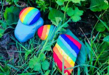 Some of the colourful rocks in Peterborough GreenUP's Rainbow Rock Garden celebrating Pride Month. The garden is located in the DePave Paradise boulevard right in front of the GreenUP Store & Resource Centre at 378 Aylmer Street North in downtown Peterborough. (Photo: Natalie Stephenson / GreenUP)