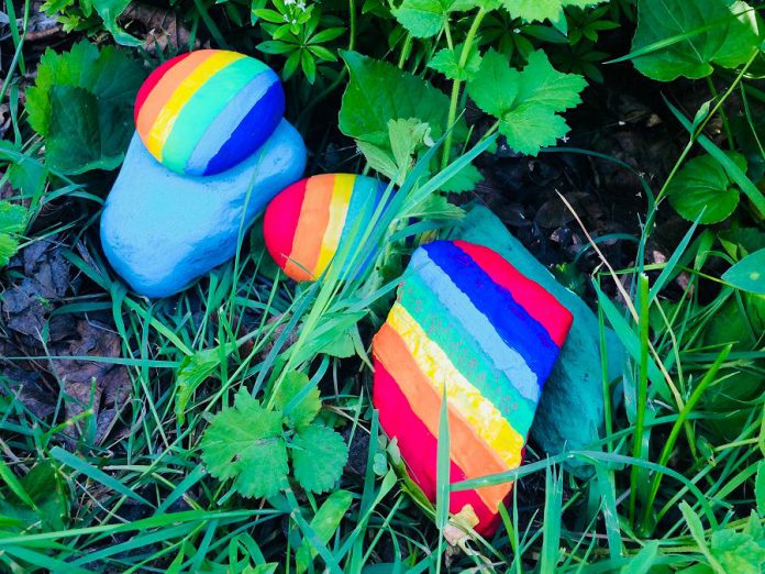 Some of the colourful rocks in Peterborough GreenUP's Rainbow Rock Garden celebrating Pride Month. The garden is located in the DePave Paradise boulevard right in front of the GreenUP Store & Resource Centre at 378 Aylmer Street North in downtown Peterborough. (Photo: Natalie Stephenson / GreenUP)