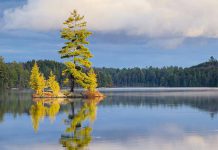 This photo of Silent Lake Provincial Park in Highlands East north of Apsley by Olivier Sigrist was our top Insta post in May 2020. (Photo: Olivier Sigrist Photography @oliviersigrist / Instagram)