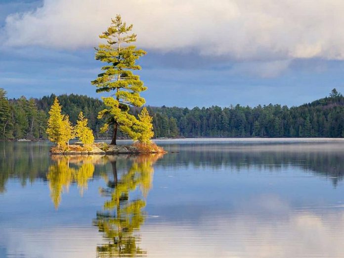 This photo of Silent Lake Provincial Park in Highlands East north of Apsley by Olivier Sigrist was our top Insta post in May 2020. (Photo: Olivier Sigrist Photography @oliviersigrist / Instagram)