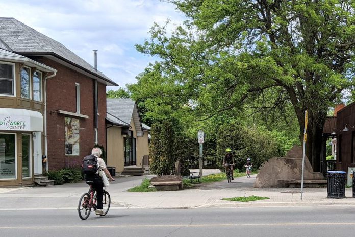 The Rotary Greenway Trail, which runs from Roger's Cove in the south to past Trent University in the north, is a popular route for cyclists. (Photo: Bruce Head / kawarthaNOW.com)