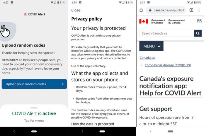 If you have tested positive and choose to upload your random codes, those codes will be used by other phones to check if they have been in close proximity to yours.  The app also provides privacy information and a link to a help and support page on the federal government's website. (Screenshots from Android version)