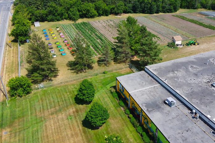A recent aerial image of Edwin Binney's Community Garden, located at Crayola Canada's office in Lindsay. United Way for the City of Kawartha Lakes (UWCKL) has announced the garden has already produced more than 1,000 pounds of food this summer for local organizations and food programs. (Photo: UWCKL volunteer Rhys Walden)