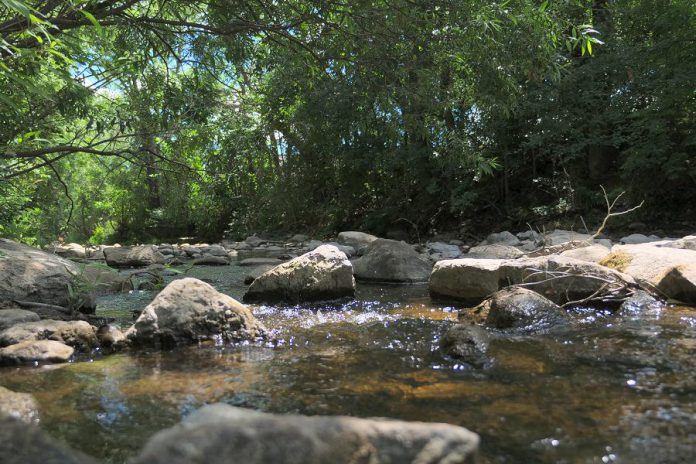 Jackson Creek feeds into the Otonabee River, making it a part of the expansive Otonabee region watershed. (Photo: Benjamin Hargreaves / GreenUP)