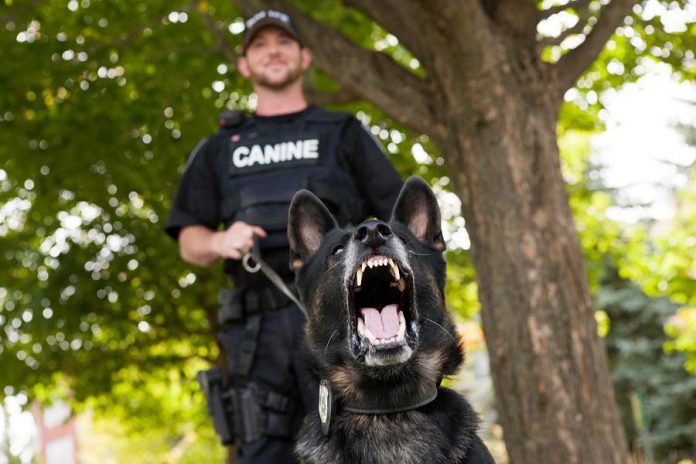 Police service dog Wolfe barks as his friend and partner police constable Tim Fish looks on. Wolfe, who retired in 2018 after seven years with the Peterborough Police Service's Canine Unit, has passed away. (Photo: Peterborough Police Service / Facebook)