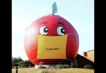 The 12-metre tall Mr. Applehead at The Big Apple on Highway 401 in Colborne in Northumberland County is now sporting a big yellow face mask. You can't tell, but he's still smiling under the mask. (Photo: The Big Apple / @bigapple401 on Instagram)