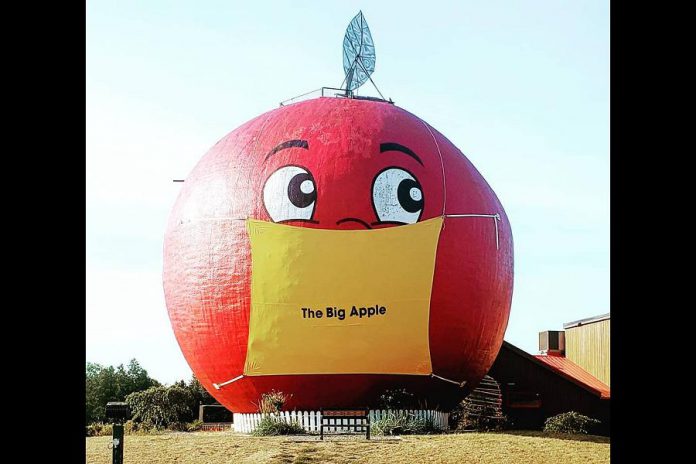 The 12-metre tall Mr. Applehead at The Big Apple on Highway 401 in Colborne in Northumberland County is now sporting a big yellow face mask. You can't tell, but he's still smiling under the mask. (Photo: The Big Apple / @bigapple401 on Instagram)