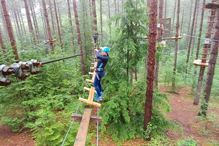kawarthaNOW writer Paula Kehoe navigates between trees at Treetop Trekking in the Ganaraska Forest near Port Hope in 2017. The forest adventure company has opened for the season at five of its six locations in Ontario, including Ganaraska. (Screenshot)