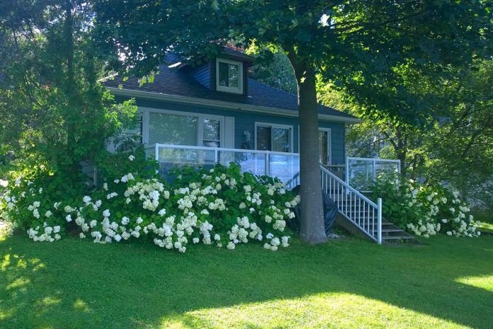 Ann Adare opened Dunraven Cottage on Pigeon Lake in Bobcaygeon in 2019. Among other things, the Trent-Severn Trail Town program helped promote her business and make it more attractive to visitors travelling along the Trent-Severn Waterway. (Photo courtesy of Dunraven Cottage)