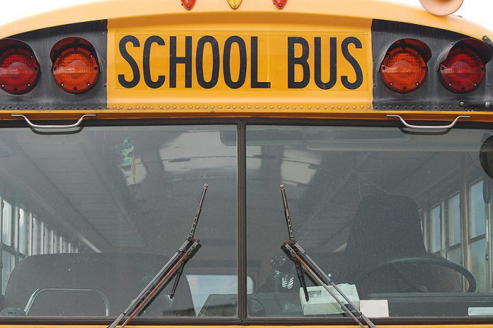 School bus pictured from the front. (Stock photo)