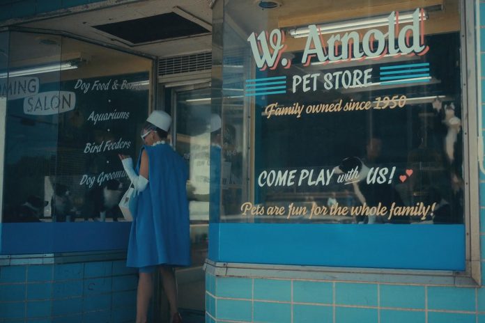 Puppies from two litters bred by Karolina's Border Collies in Ennismore first appear in the pet store scene in "The Swedish Job", the third episode of the second season, when The Handler (Kate Walsh) visits the store. The second season is set in Dallas, Texas, in the early 1960s.  (Photo: Netflix)