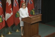 Dr. Barbara Yaffe, Ontario's associate chief medical officer of health, prepares for a media conference about COVID-19 testing at Queen's Park on September 24, 2020. She was joined by Dr. Vanessa Allen, chief of medical microbiology at the Public Health Ontario Laboratory, Ontario Health president and CEO Matthew Anderso, and Ontario's chief coroner and COVID-19 testing lead Dr. Dirk Huyer. (CPAC screenshot)