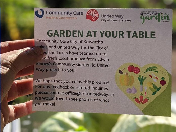 Through Garden at Your Table, a collaboration between  United Way CKL and Community Care City of Kawartha Lakes, produce from Edwin Binney's Community Garden has been delivered directly to 50 clients in Kawartha Lakes.  (Photo courtesy of United Way CKL)