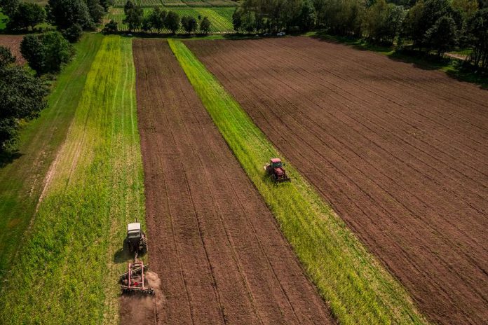 The wisdom, kindness, and leadership of neighbours and our local business community are vital lifelines in times of change and crisis such as the COVID-19 pandemic and climate change. Supporting local agriculture, such as McLeans Berry Farm (pictured), is one way to reduce carbon emissions. (Photo courtesy of Peterborough and the Kawarthas Economic Development)