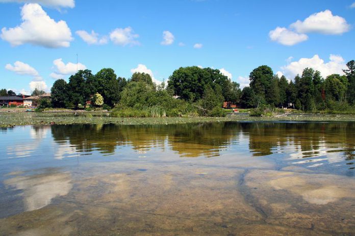 GreenUP is excited to invite volunteers and members of the public to join our Sustainable Urban Neighbourhoods planting event at Back Dam Park (902 Rock Road, Warsaw) on Friday, September 25, 2020, from 11 a.m. to 3 p.m.. Participants of all ages can join GreenUP for the planting and launch of Action Plan for Water in Warsaw. To ensure event safety, GreenUP is requiring registration by email in advance. (Photo: GreenUP)