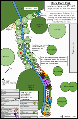 The planting plan for the Back Dam Park in Warsaw was developed by GreenUP’s Jenn McCallum. The new garden will feature a total of 96 plants, including trees, shrubs, and wildflowers along the south-western side of the park. (Graphic: GreenUP)