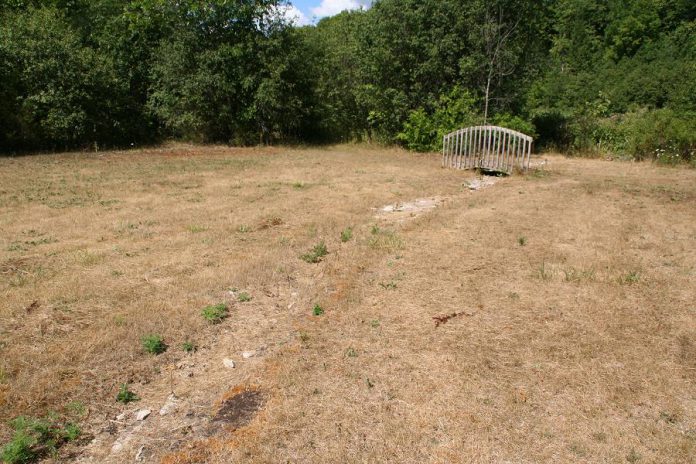 This photo shows the planting area for the September 25th event during drought. There is a tributary that flows in the spring and dries up in the summertime. The new plants will clean the water and stabilize the banks of the tributary while tolerating summer droughts. (Photo: GreenUP)