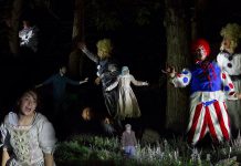 A compilation of photos from 4th Line Theatre's original outdoor production "Bedtime Stories and Other Horrifying Tales". The Halloween-themed show runs from October 20 to 30, 2020 at the Winslow Farm in Millbrook. (Photos: Wayne Eardley / Brookside Studio)