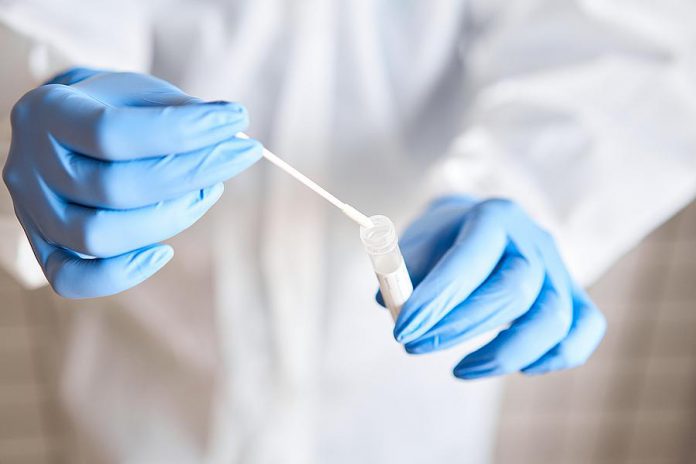 A COVID-19 test swab in a laboratory. (Stock photo)