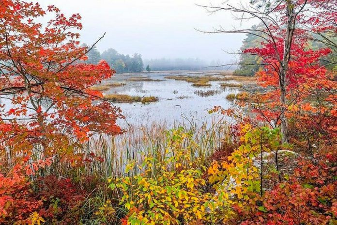 This photo of fall on Kasshabog Lake in Peterborough County is one of a series by Mike Quigg that was our top post on Instagram in September 2020. (Photo: Mike Quigg @_evidence_ / Instagram)