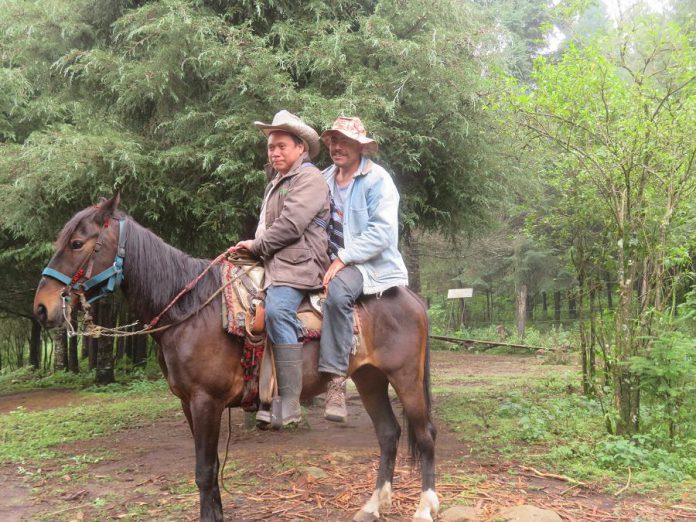 Forest guardians at the Cerro Pelón Monarch Butterfly Sanctuary in Macheros, Mexico. The guardians patrol the sanctuary to protect it from illegal logging. (Photo:  Butterflies and Their People)