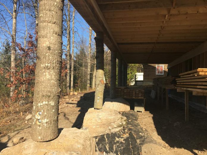 An example of the use of repurposed natural materials incorporated into the new health centre building under construction at Camp Kawartha can be found in the building support beams: pine tree trunks with huge boulders as their footings. (Photo: Paul Rellinger / kawarthaNOW.com)