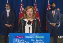 Ontario health minister Christine Elliott announcs additional public health support for Peel Region at Queen's Park on November 9, 2020, in response to a record increase in COVID-19 cases in Peel Region over the weekend. (CPAC screenshot)